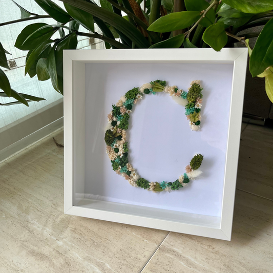 CUADROS CON INICIAL PRESERVADA